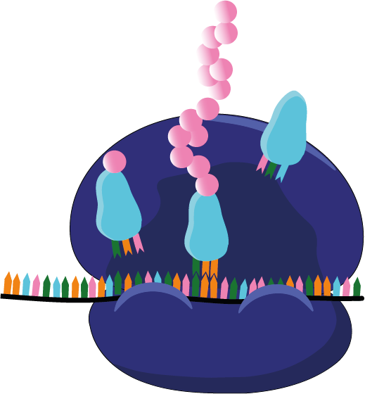 icone ribosome